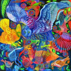 鸟类，2010年，